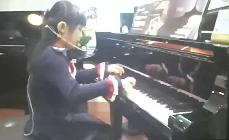 尊龙凯时特邀艺术家白志娴