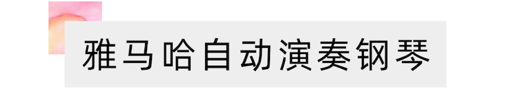 活动报道 | “科技助力，跨越时空”，小鹿纯子携手刘明康共享中日音乐盛宴
